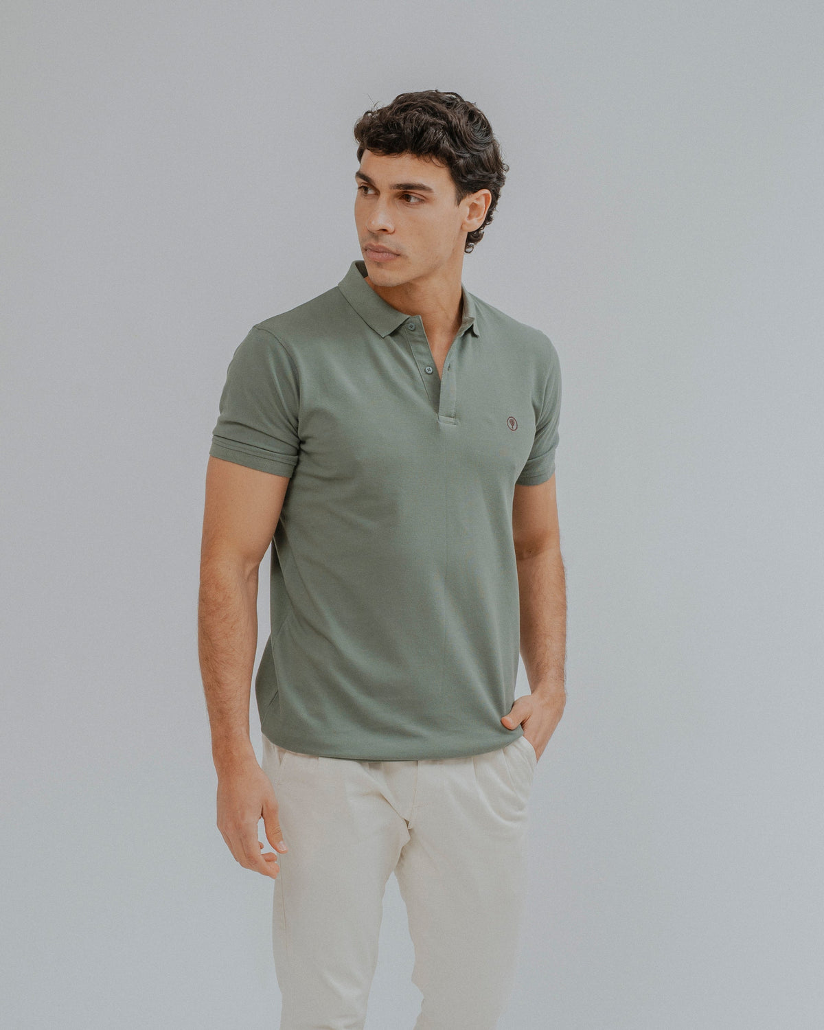 POLO BÁSICO REGULAR FIT