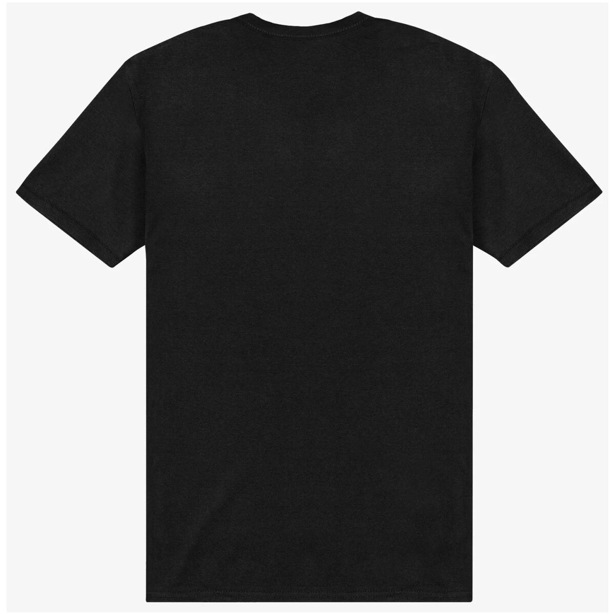 The North Face Hombre Camisetas
