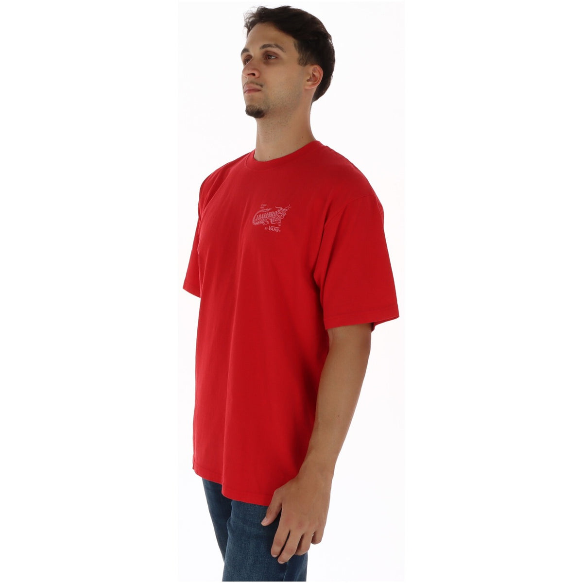 Vans Hombre Camisetas