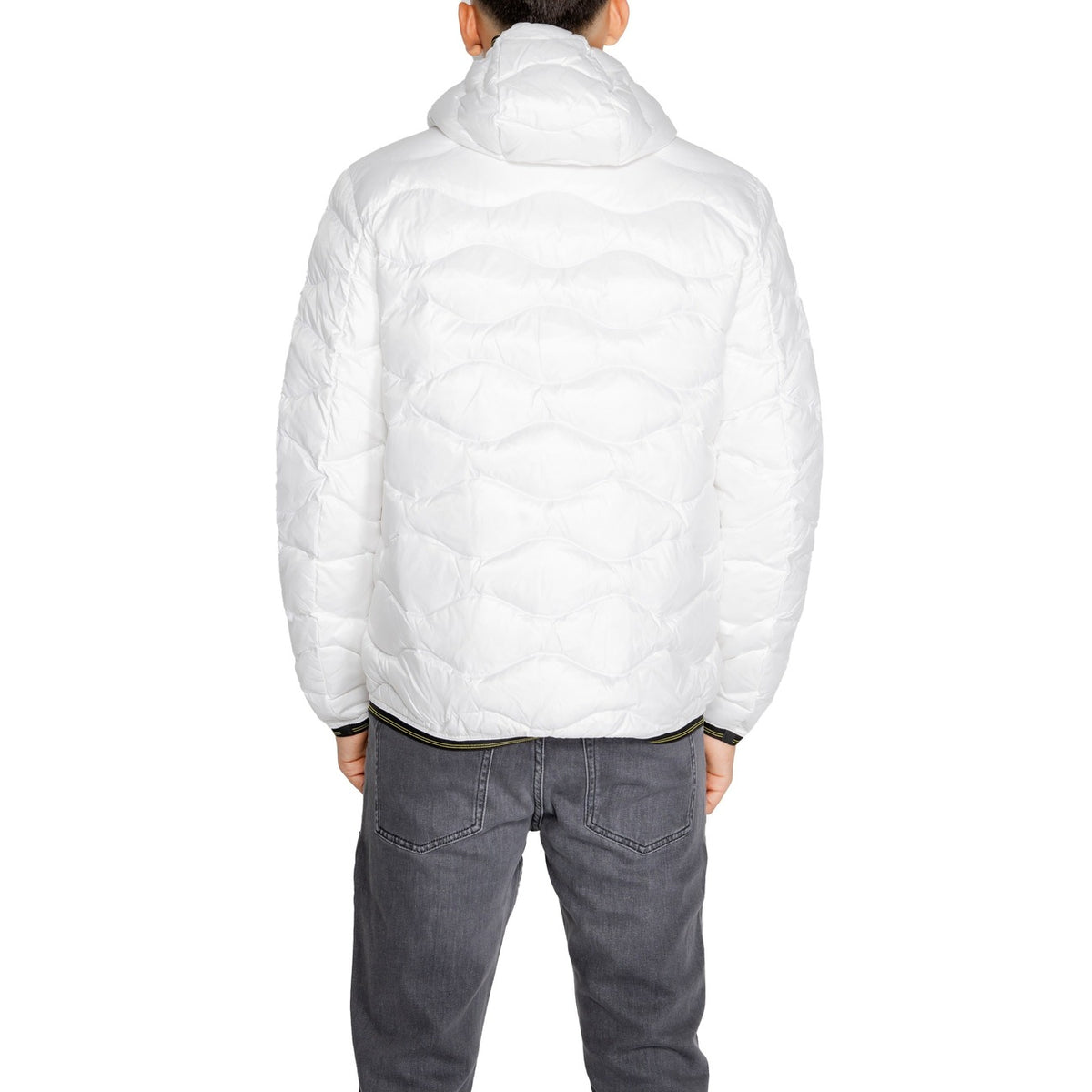 Blauer. Hombre Cazadoras