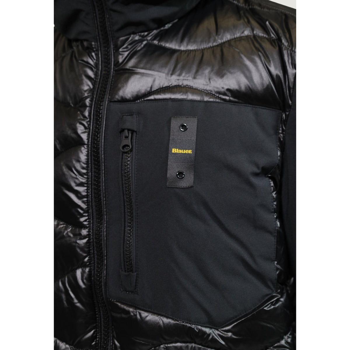 Blauer. Hombre Chaquetas